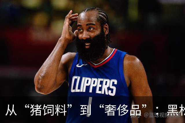 从“猪饲料”到“奢侈品”：黑松露的逆袭之路
