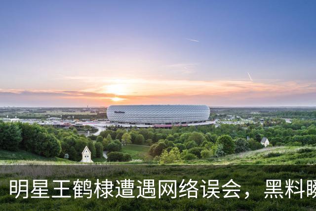 明星王鹤棣遭遇网络误会，黑料瞬间被泼水！