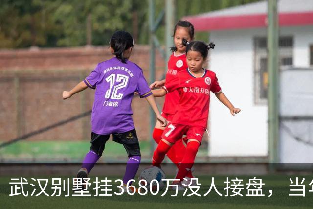 武汉别墅挂3680万没人接盘，当年喊价1亿的“岛居神房”凉了